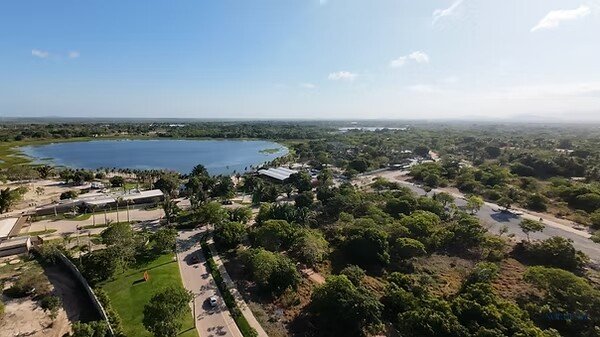 Lagoar Terra Brasilis